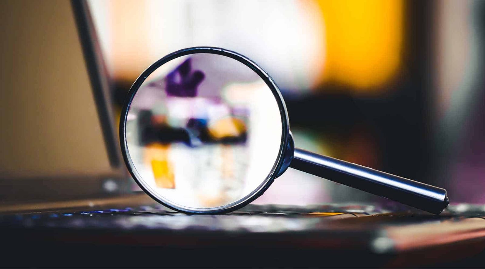 Searches involved when buying a house