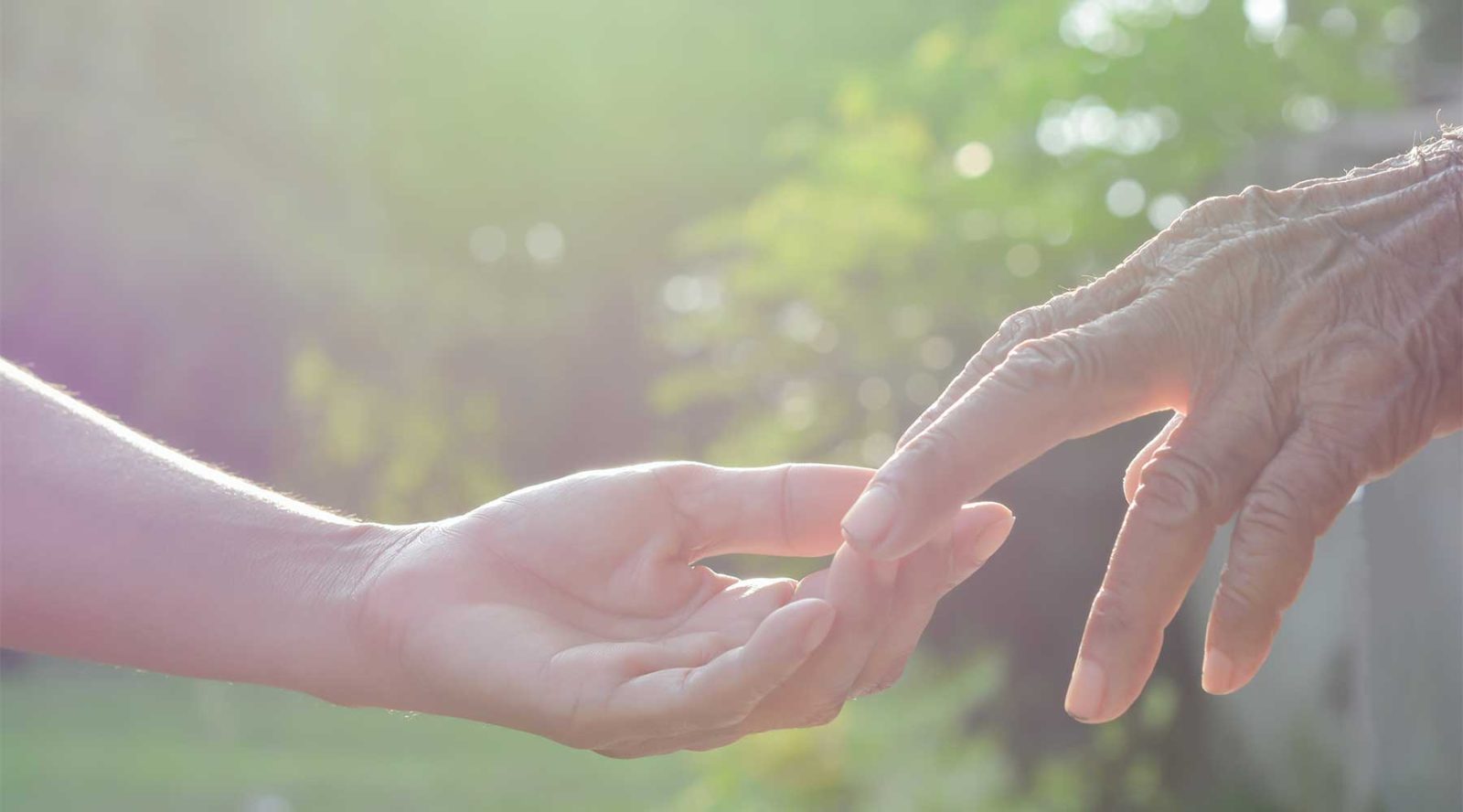 Maximising your chances of receiving legacy donations