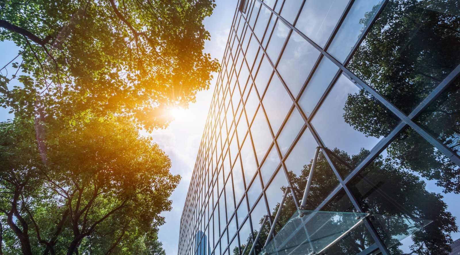 Commerical landlord moratorium update