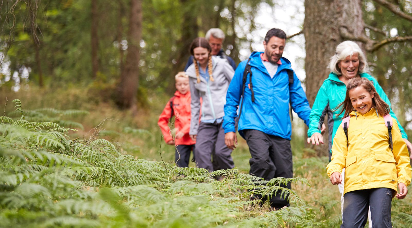 A guide to trusts: Protecting your assets and wealth